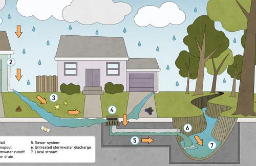 Stormwater Management