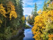 Cascadia State Park