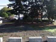 Image of account #198719. Taxlot with only bare ground and a few trees. 
