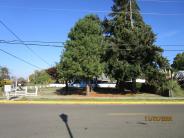 Image of account #198719. Taxlot with only bare ground and a few trees.