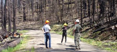 Santiam Canyon fire aftermath