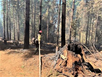 Wiley Creek Fire -- Sunday