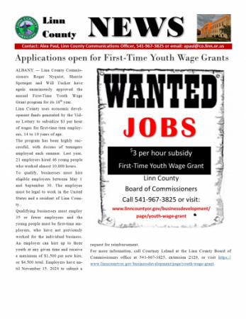 Youth Wage Grants
