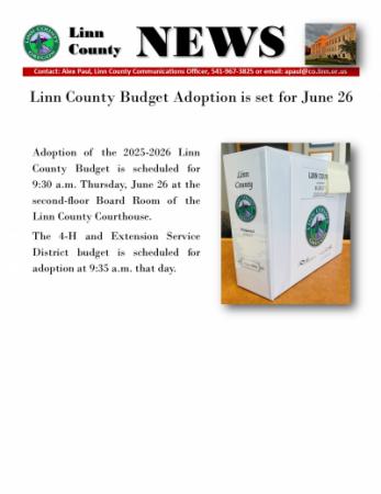 budget_adoption_flyer.jpg 