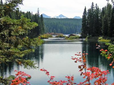 Lake in Fall 2007