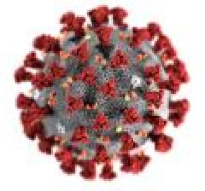 Covid virus