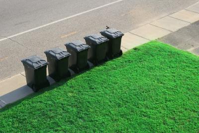 Solid Waste bins on curbside