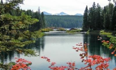 Small lake with mountains in background