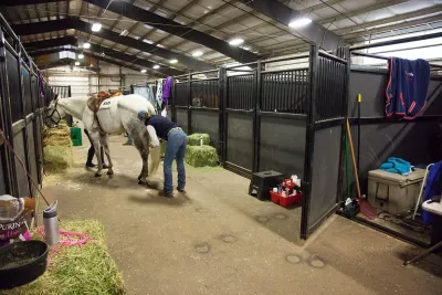 horse stalls 2