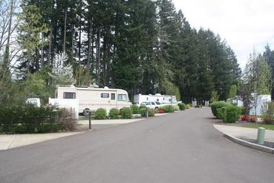 edgewater-row-of-rvs