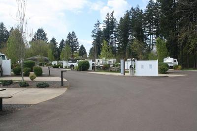 edgewater-rv-middle-row-of-rvs