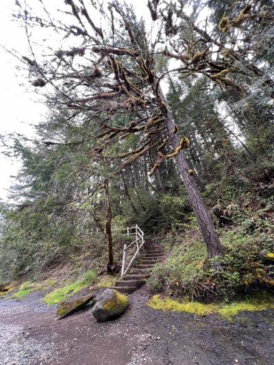cascadia-trail-1