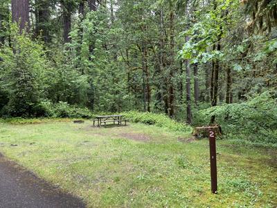 site-2