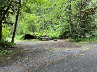 site-4-1