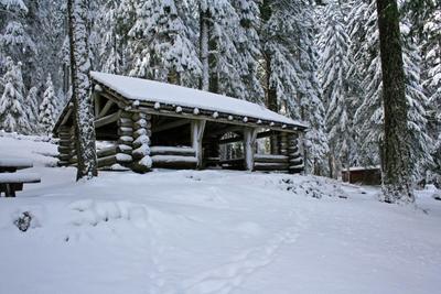 cabin in snow
