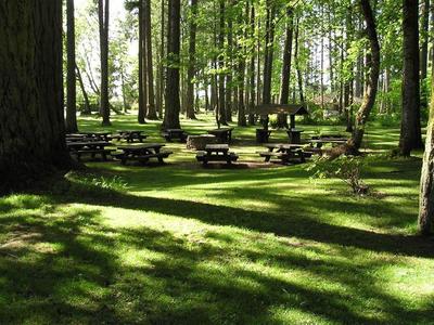 waterloo-claud-cox-picnic-ring