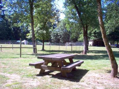 waterloo-dog-park