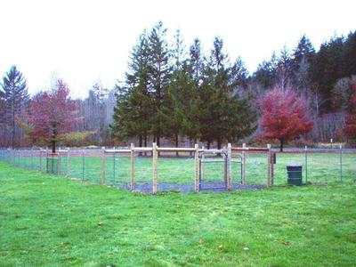 ss-dog-park-1