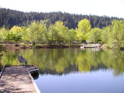 ponds-1