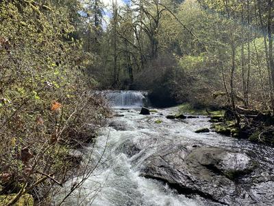 McDowell Creek Falls 2