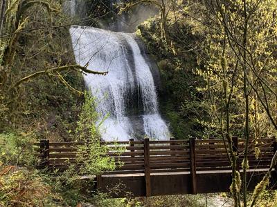 McDowell Creek Falls 3