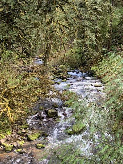 McDowell Creek Falls 4