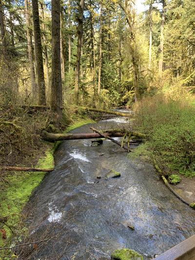 McDowell Creek Falls 5
