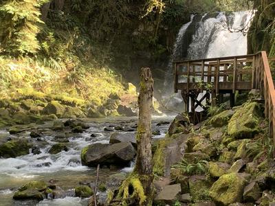 McDowell Creek Falls 6