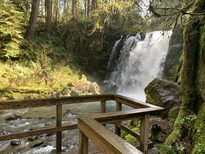 McDowell Creek Falls 7