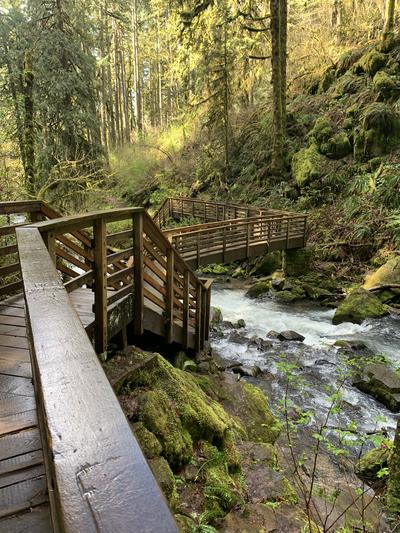 McDowell Creek Falls 8