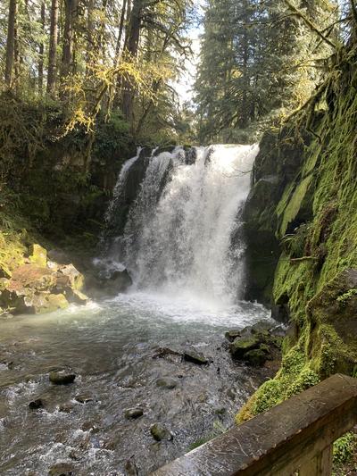 McDowell Creek Falls 9