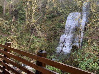 McDowell Creek Falls 10