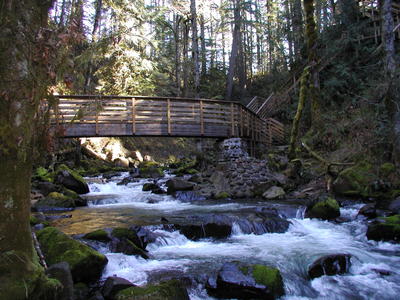 McDowell Creek Falls 11