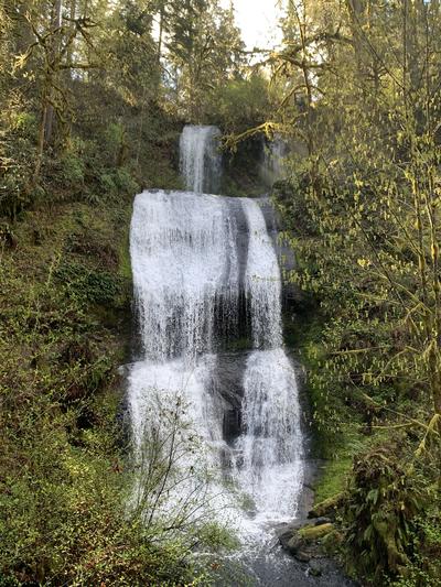McDowell Creek Falls 12