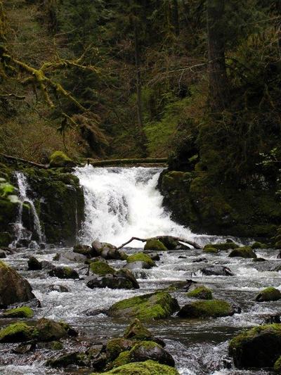 McDowell Creek Falls 13