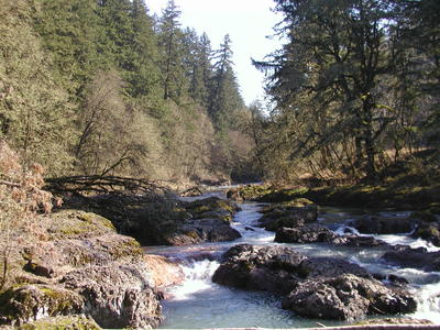 McKercher swimming on the Calapooia River