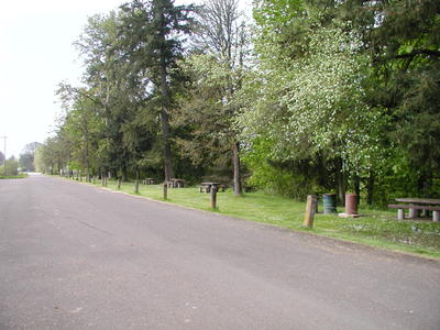 picnic area