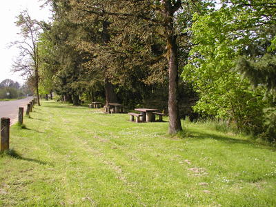 picnic area