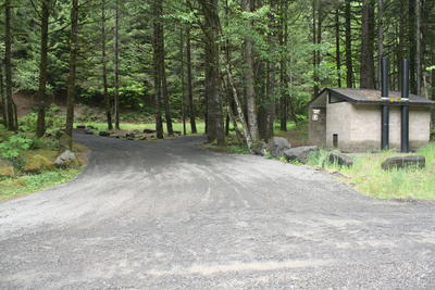 quartzville-group-camp-23