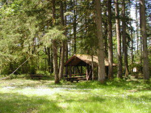 roaring-river-shelter-1