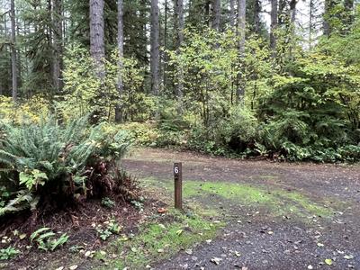 forest_0228