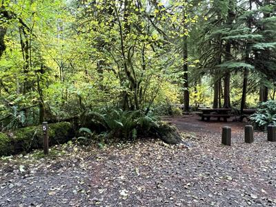 forest_0222