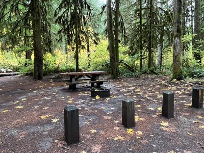 forest_0218