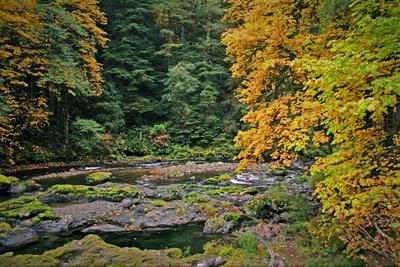 yw_river