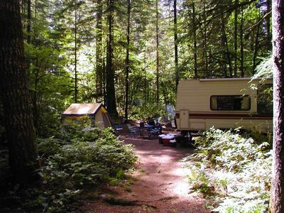 forest camp