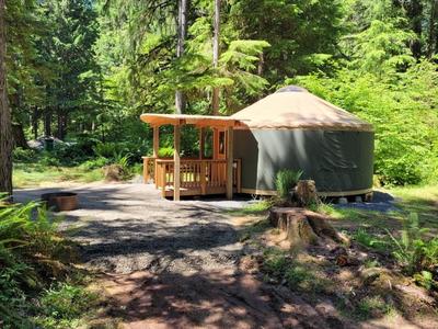 Yurt 6
