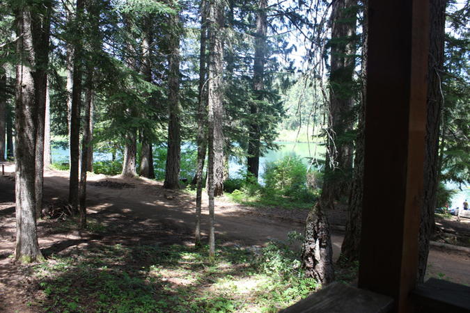 woods