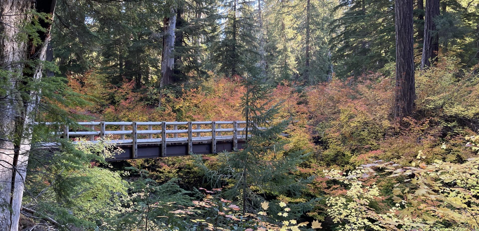 Whitcomb Creek County Park